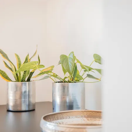 Apartment Neu Renovierte Im Hirschentenne Stams