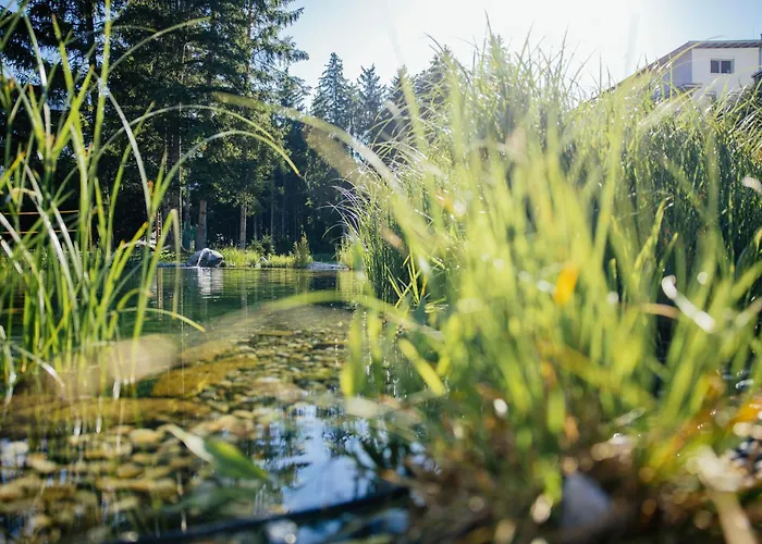 Neu Renovierte Im Hirschentenne شقة ستامس