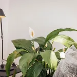 Neu Renovierte Im Hirschentenne By Peak Apartamento