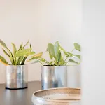 Apartamento Neu Renovierte Im Hirschentenne By Peak Stams