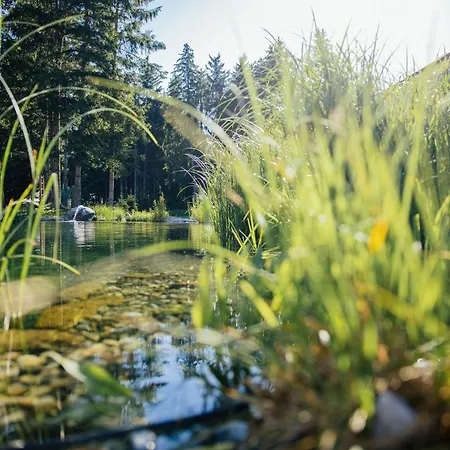 Neu Renovierte Im Hirschentenne Apartmán Stams